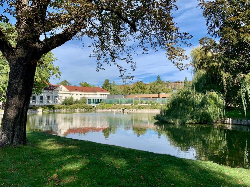 Hotel Garni Zum Rebstock Naumburg  Zewnętrze zdjęcie