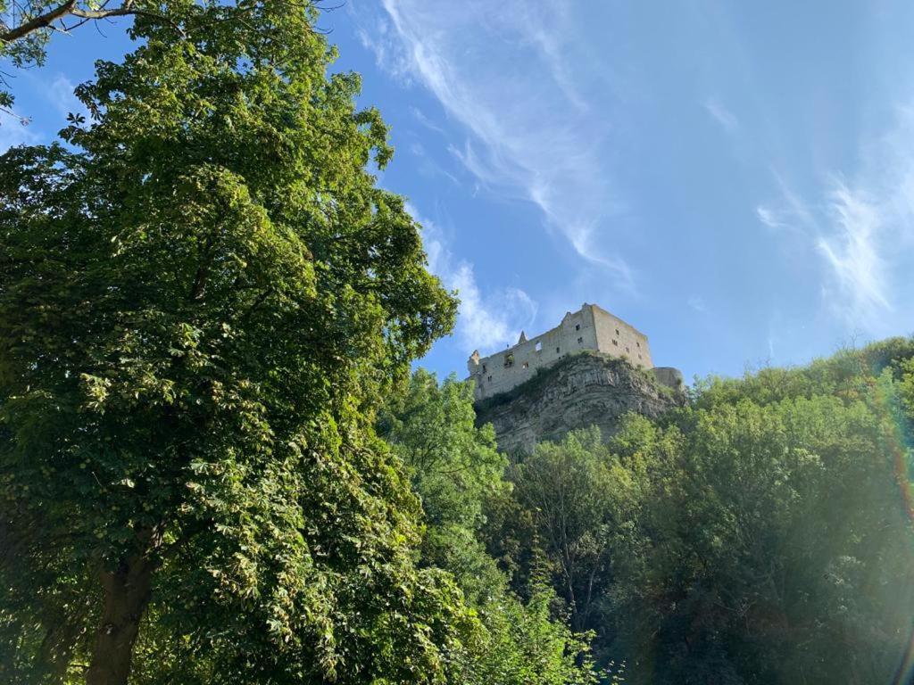 Hotel Garni Zum Rebstock Naumburg  Zewnętrze zdjęcie