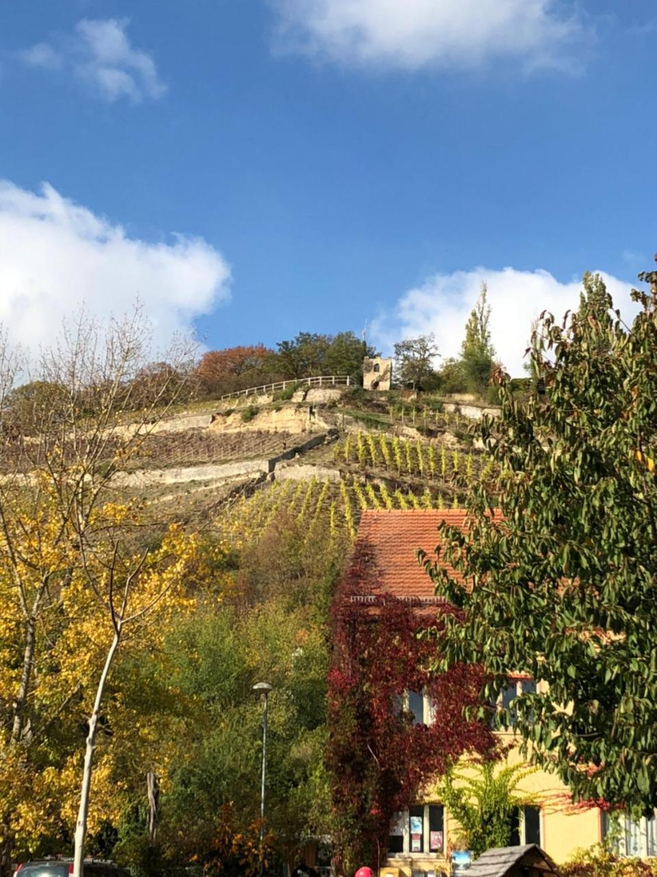 Hotel Garni Zum Rebstock Naumburg  Zewnętrze zdjęcie